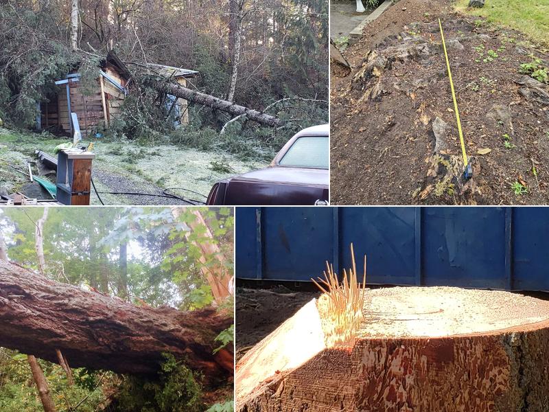 Mid Island Tree Service