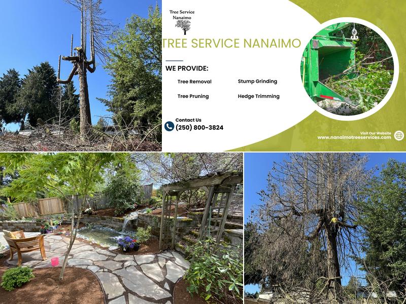 Affordable Arborist Nanaimo