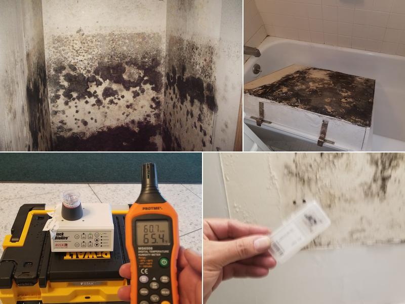 Westchester Mold Removal & Remediation