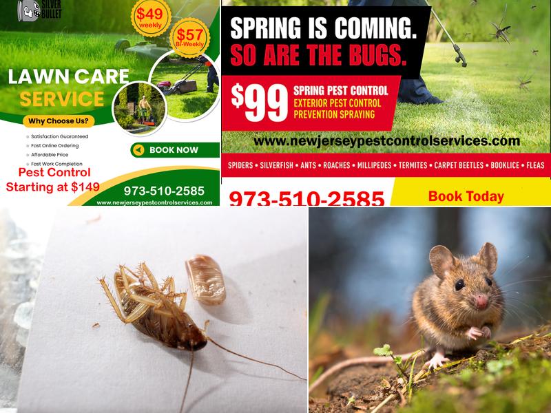 Silver Bullet Pest Control Services