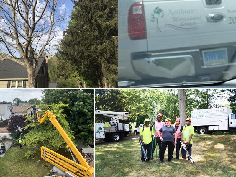 Northeast Horticultural Services