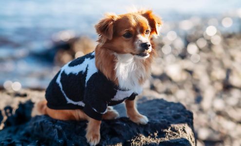 Atlantic Memories Photography & Videography