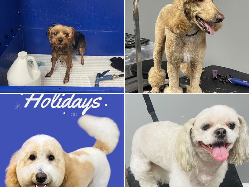 PETS R US GROOMING & SPAWS