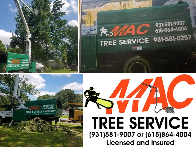 MAC Tree Service