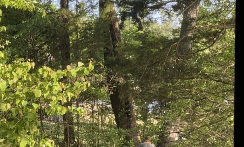 KuttingEdge tree's llc 766 River Rd, Decatur Tennessee 37322