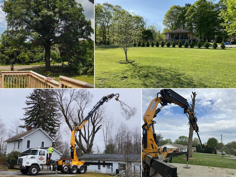 Hackett's Tree Service