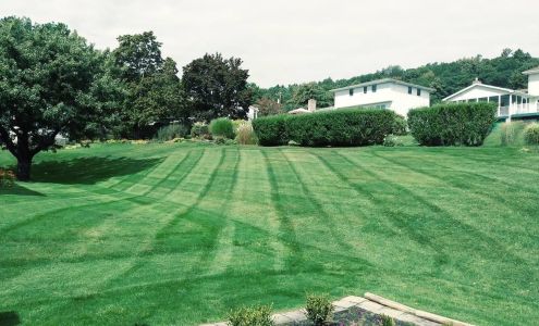 Cny Pristine Proscapes