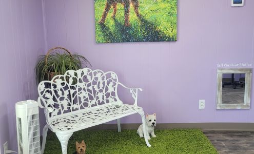 Little Yellow House Pet Grooming 1700 Silver Spur Cir, Clarkdale Arizona 86324