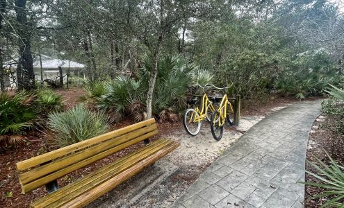 Big Fish Bike and Beach Rentals Santa Rosa Beach