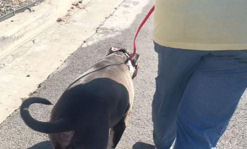 Jurupa Valley Handyman Services