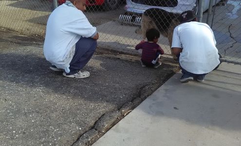 Salinas Paint And Body