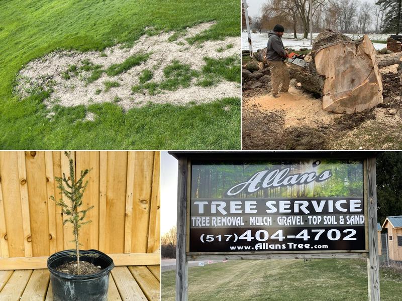 Allan’s Tree Service LLC