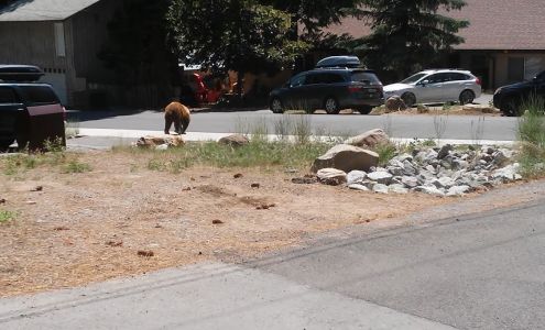 North Shore Electric