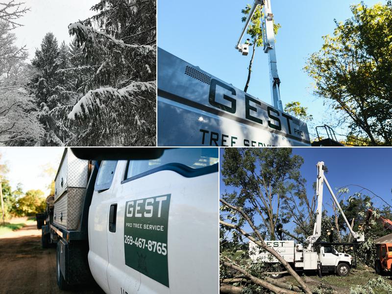 Gest Pro Tree Service
