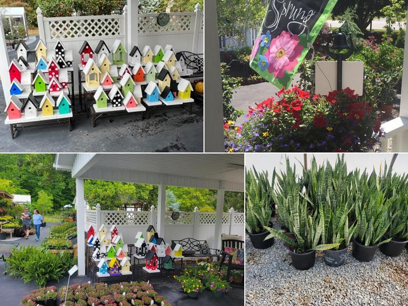 Forest Hills Nursery & Landscaping