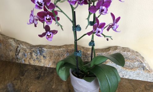 Kimberly Fulcher Lee, BERKSHIRE HATHAWAY HOMESERVICES, THE PREFERRED REALTY