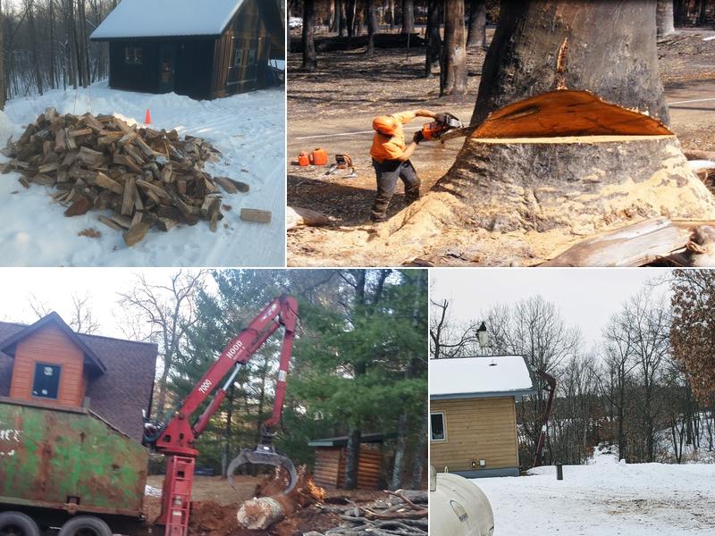 Siren Tree Services & Demolition