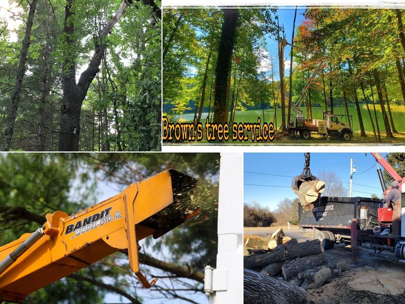 Brown's Tree Service