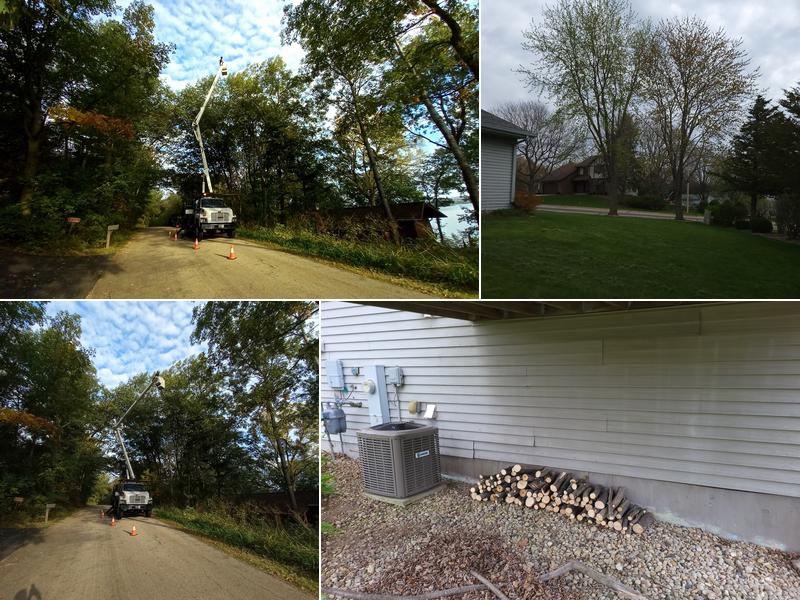 Tim Andrews Horticulturist LLC