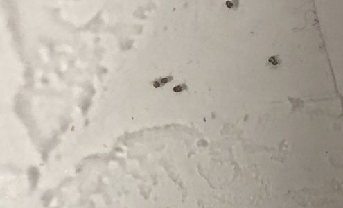 Best Pest Control 1471 Dewar Dr Suite 202, Rock Springs Wyoming 82901