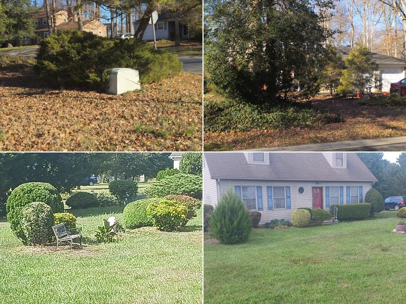 Afford-A-Tree Services and Landscaping