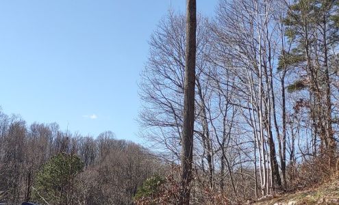 Snodgrass Tree Care, LLC. 248 Fisher Ridge Rd, Liberty West Virginia 25124