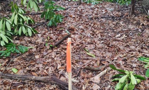 Armentrout Surveying & Mapping 508 W Stuart Dr, Hillsville Virginia 24343