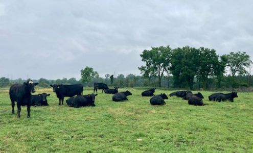 JM HIggins Farms Waldron