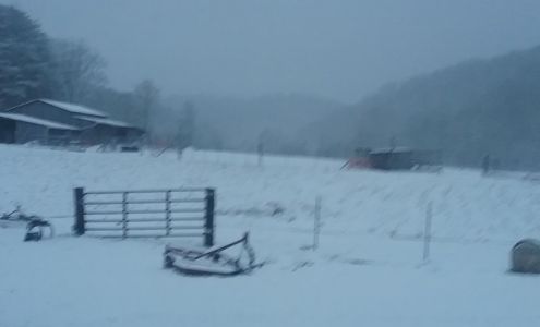 Thankful Valley Farms and Hatchery Leon