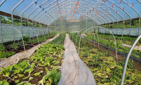 Full Plate Farm Skandia