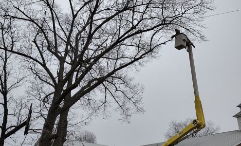 Gilbert's Tree Service