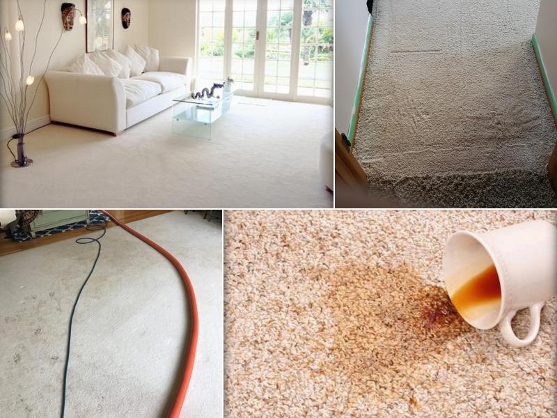 Winter Carpet Cleaning