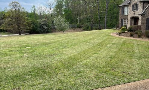 Nub’s Lawn Care Service LLC 52 Co Rd 481, Paris Mississippi 38949