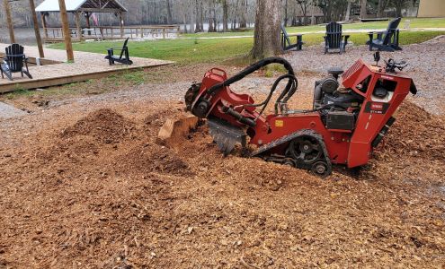 Curly's Stump Removal LLC 1109 Lucas St, Jennings Louisiana 70546