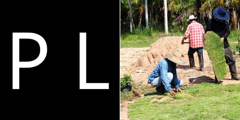 Perfection Landscapes