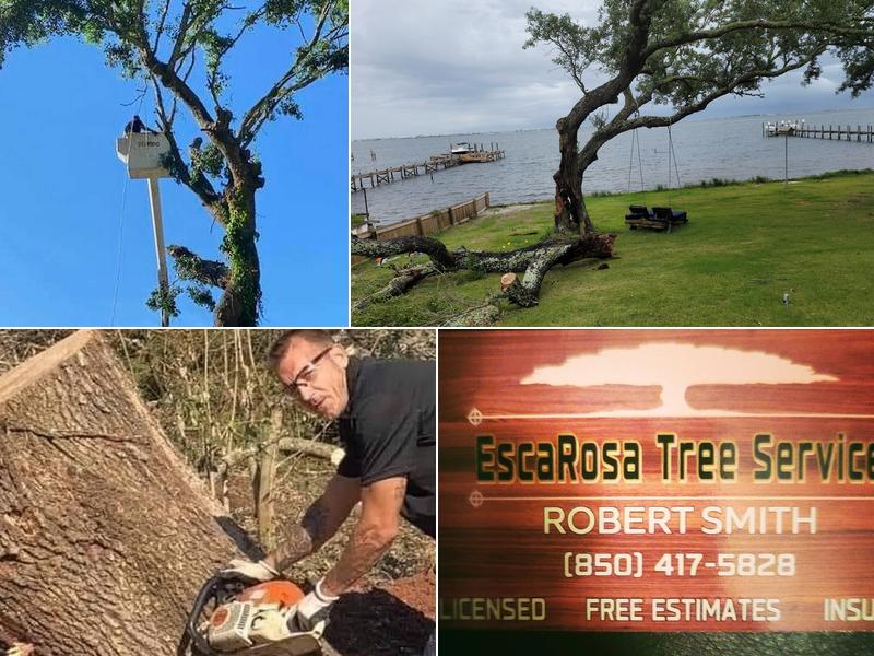 EscaRosa Tree Service, LLC 28 years experience