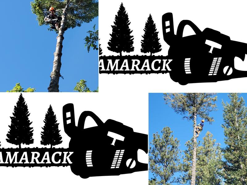 Tamarack Tree Experts