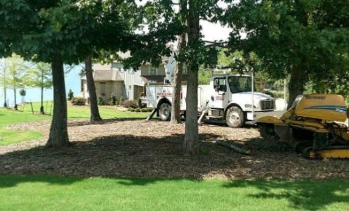 Wilson's Tree Service LLC 762 Harrell Rd, Pheba Mississippi 39755