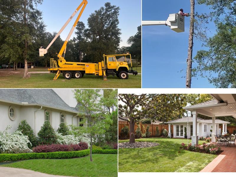 Land development of Florence llc