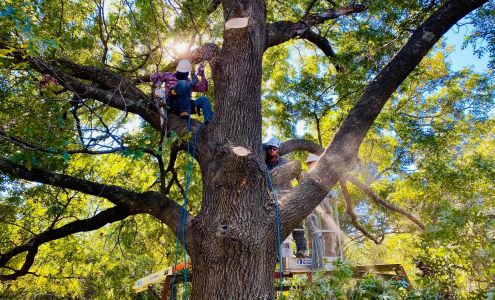 High N Tight Yards 15031 Hout Bay Rd, Streetman Texas 75859