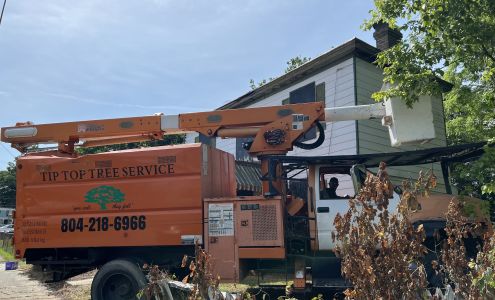 Tip Top Tree Service VA