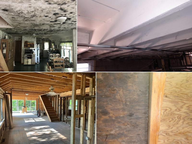 Excelsior Restoration Services