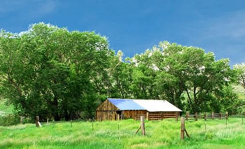 Newman Realty Torrington