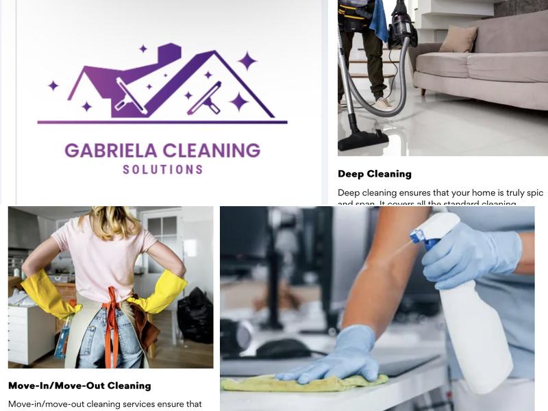 Gabriela Cleaning Solution
