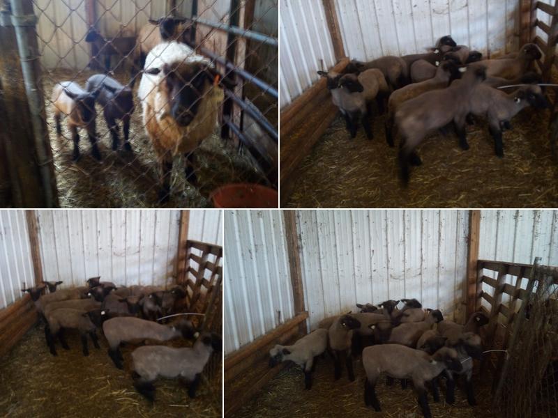 Larry W Moore Heating