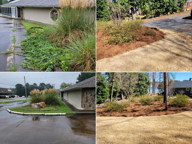 Moma's Boys Lawn Care