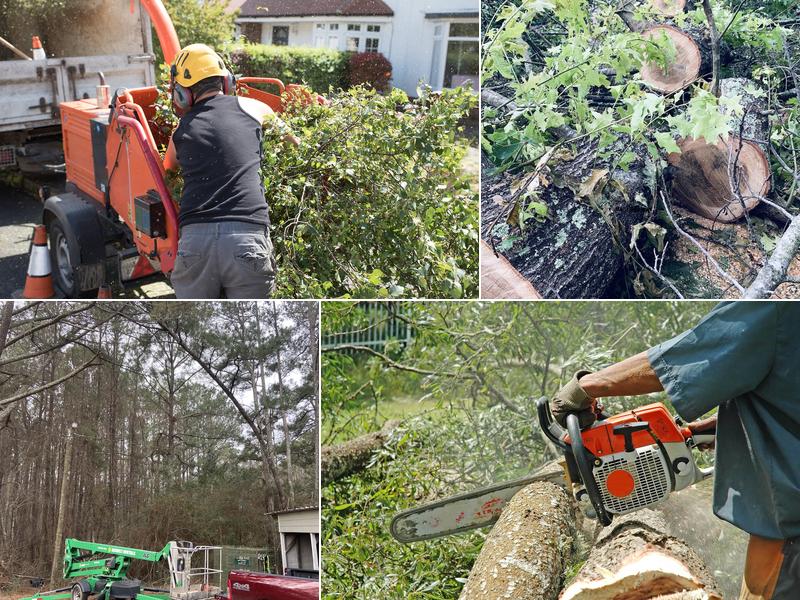 WAT Tree Service - Bremen