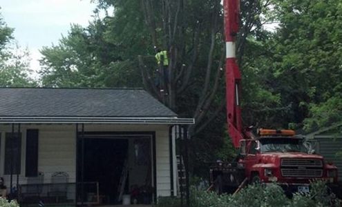 R&S Tree Service