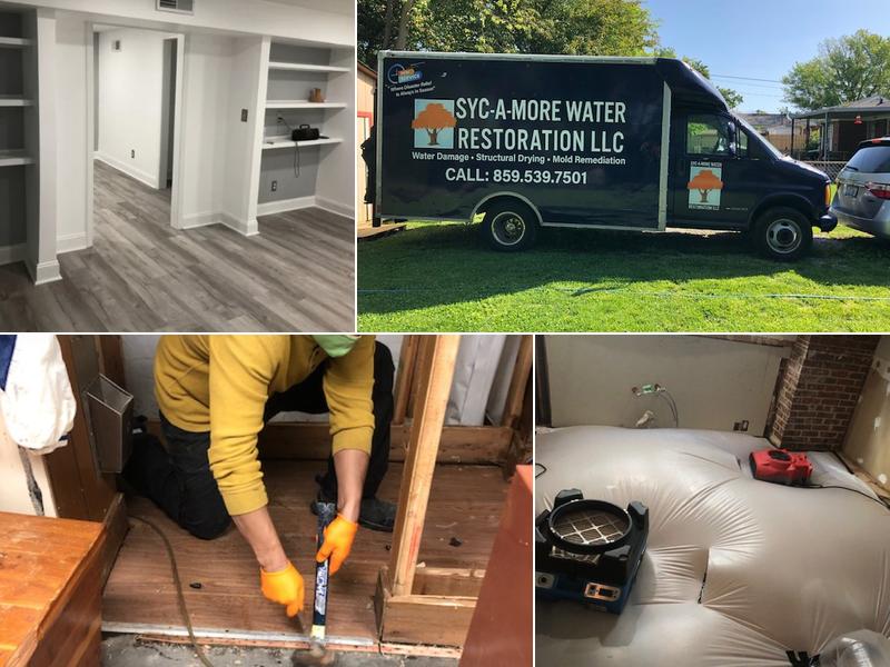 The Sycamore Foundation