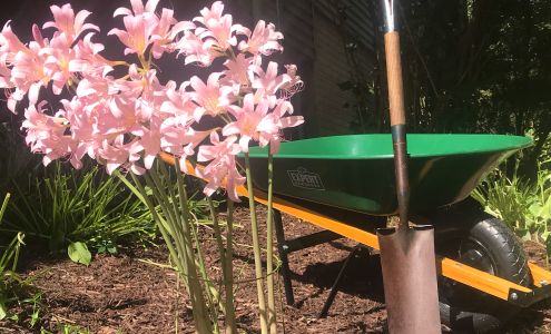 Stone & Stem Designs